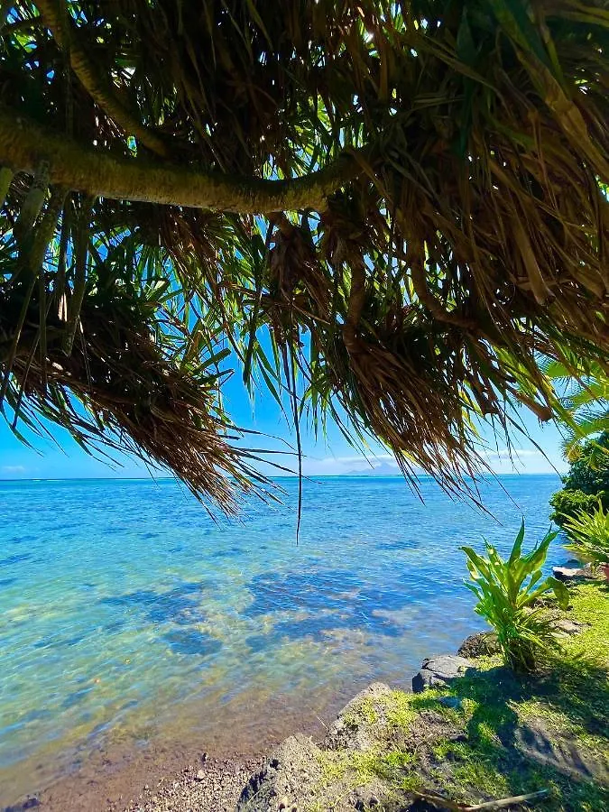 O'Coco Bungalow- Breathtaking Waterfront Views, Endless Memories Paea 0*,
