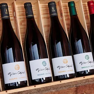 Domaine Gilles Coperet- Artisan-vigneron- D'hotes Les Glycines - Bed & Breakfast Regnie-Durette
